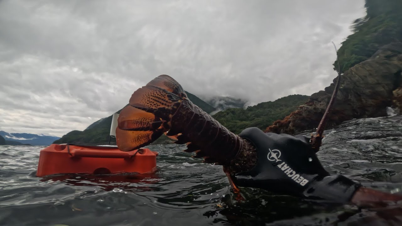 Doubtful Sound, Fiordland! What a place!