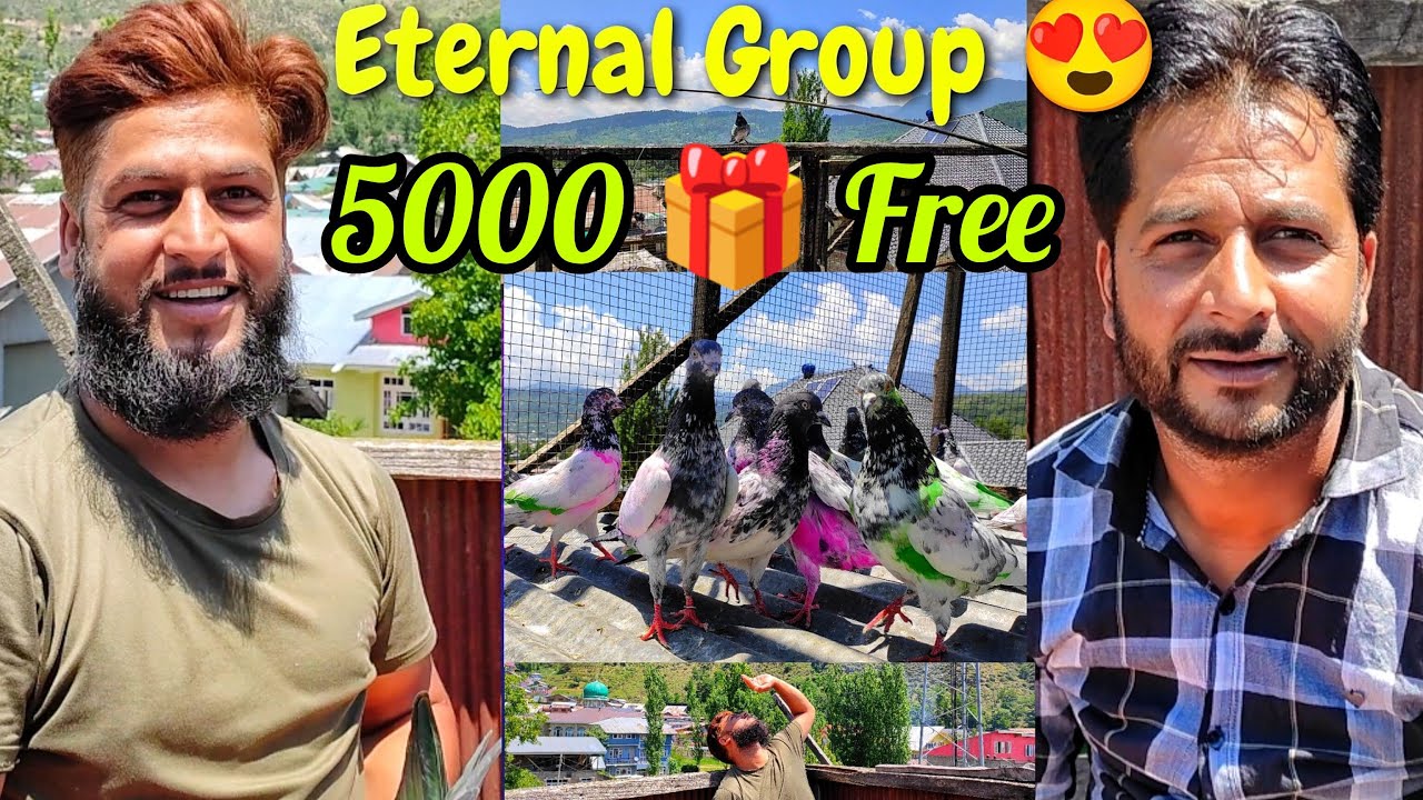 Itni sari information 🤗 5000  Jeeto free mein 😲 Bala Brothers  ki Mehnat ko salaam 😍
