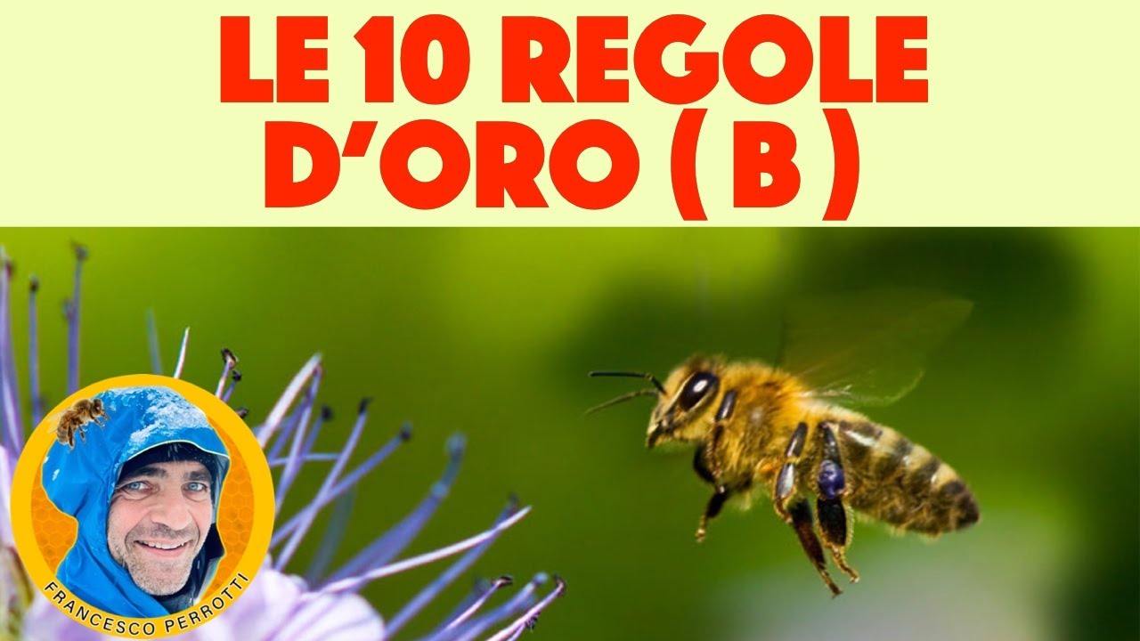 08 Apicoltura:   le 10 regole d'oro. Seconda parte. Istruzioni principiante  ( per corso 2021 )