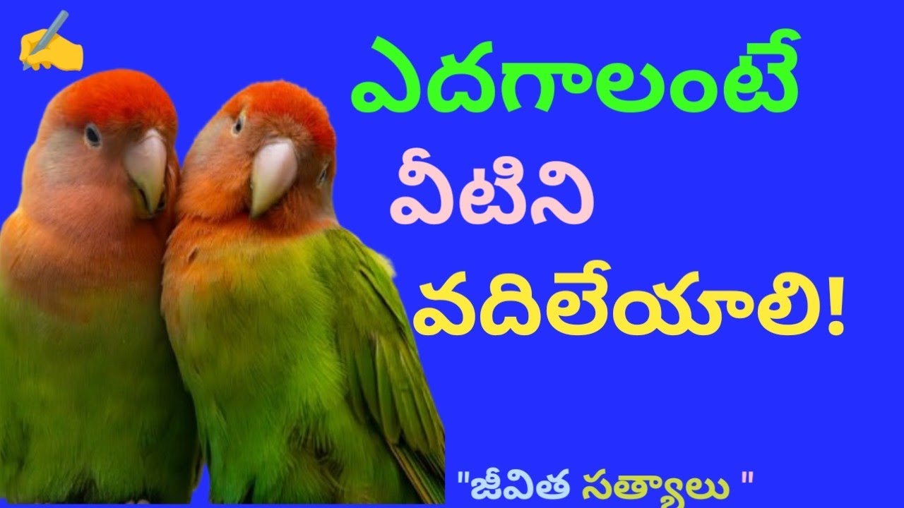 జీవితసత్యాలు#164  l Telugu Motivational & Inspirational Quotes l మంచి మాటలు l సూక్తులు