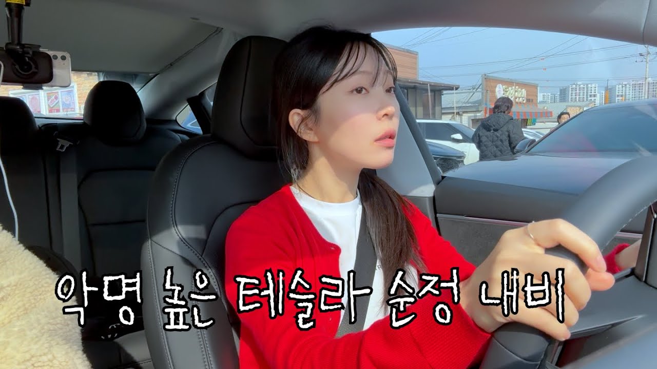 도대체 왜 악명 높은 걸까? 테슬라 순정내비로만 드라이브행