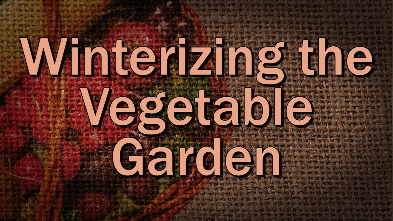 Winterizing the Vegetable Garden &ndash; Family Plot