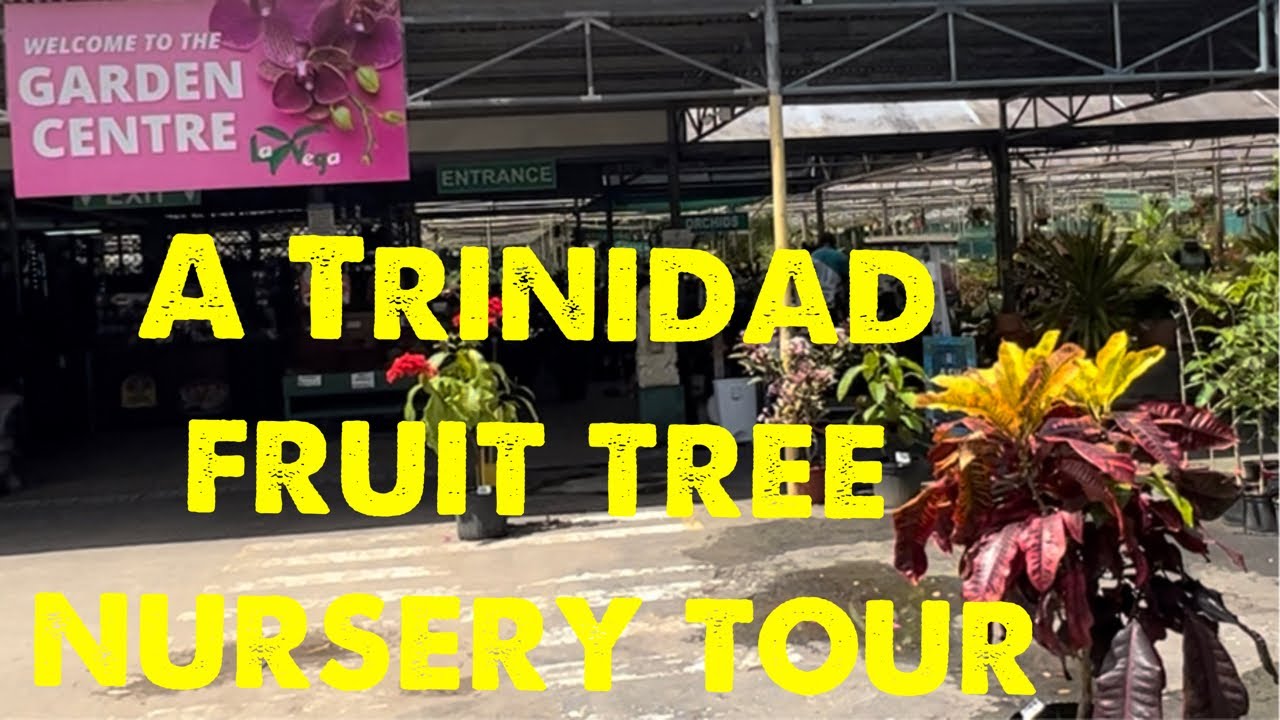 Trinidad fruit tree nursery tour !