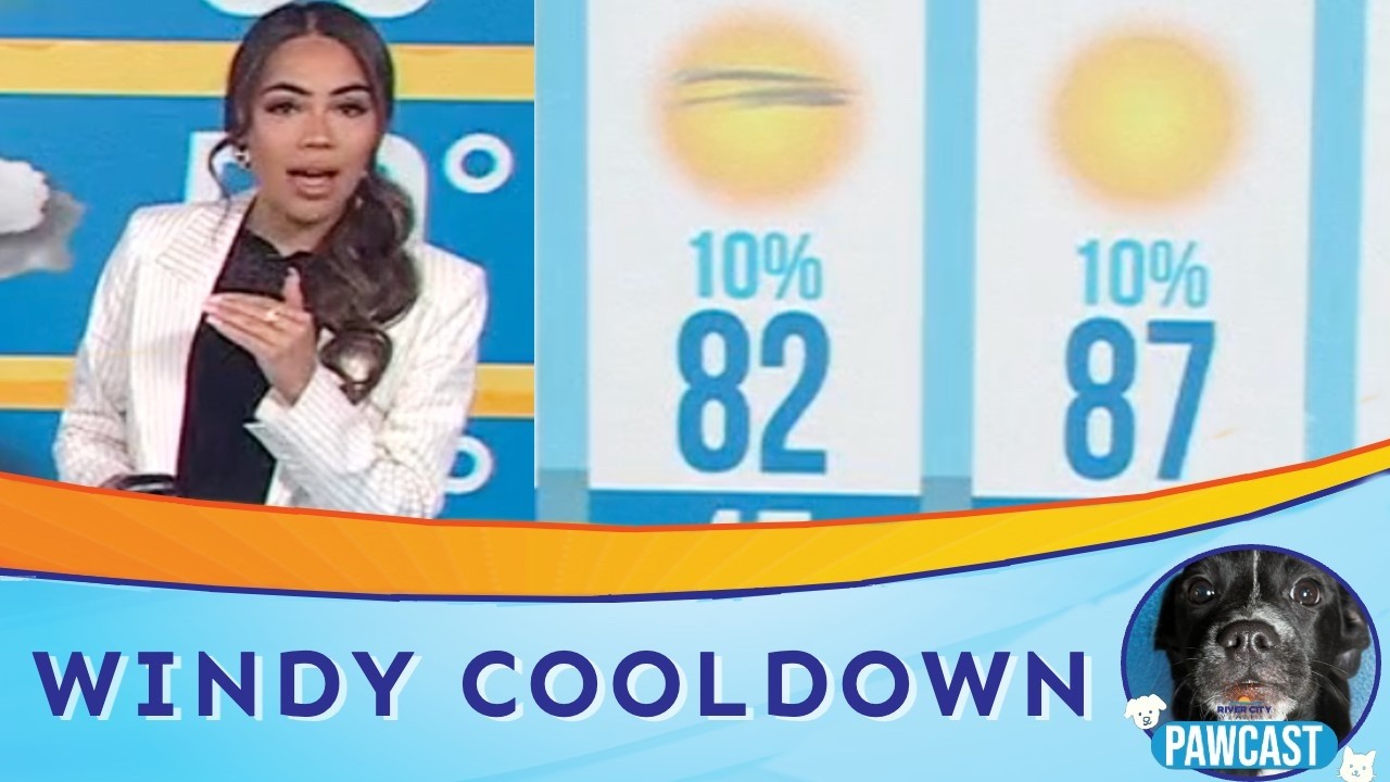 San Antonio Weather: Windy, Cooler Day Ahead | PAWCAST