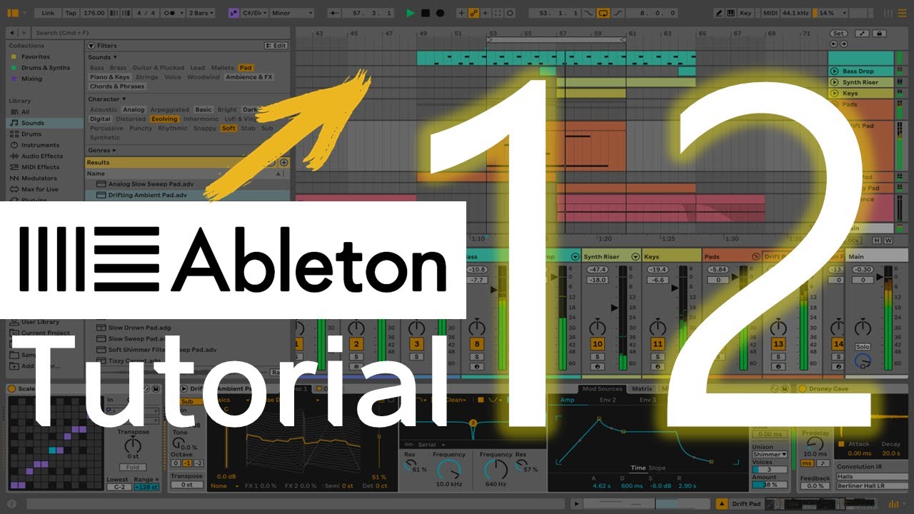 초보자도 쉽게 배우는 Ableton Live 12 기초 튜토리얼