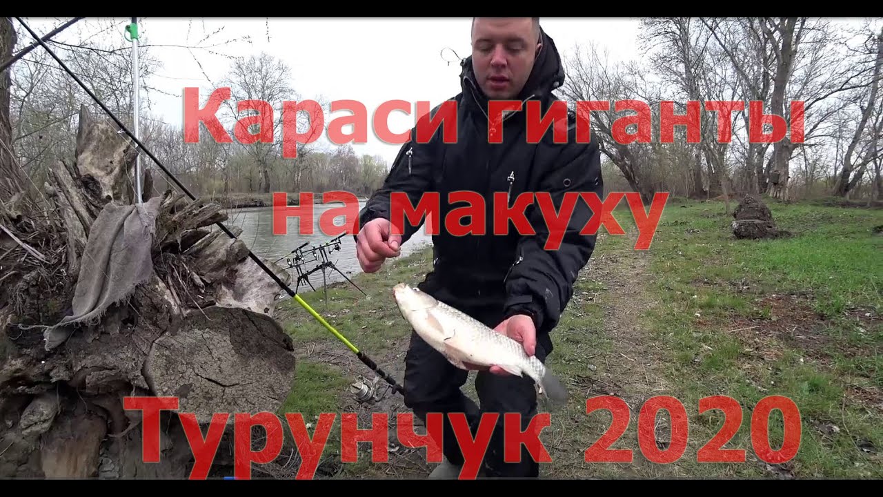 Рыбалка Днестр 2020, с. Троицкое Одесская обл., огромные караси по 1кг.