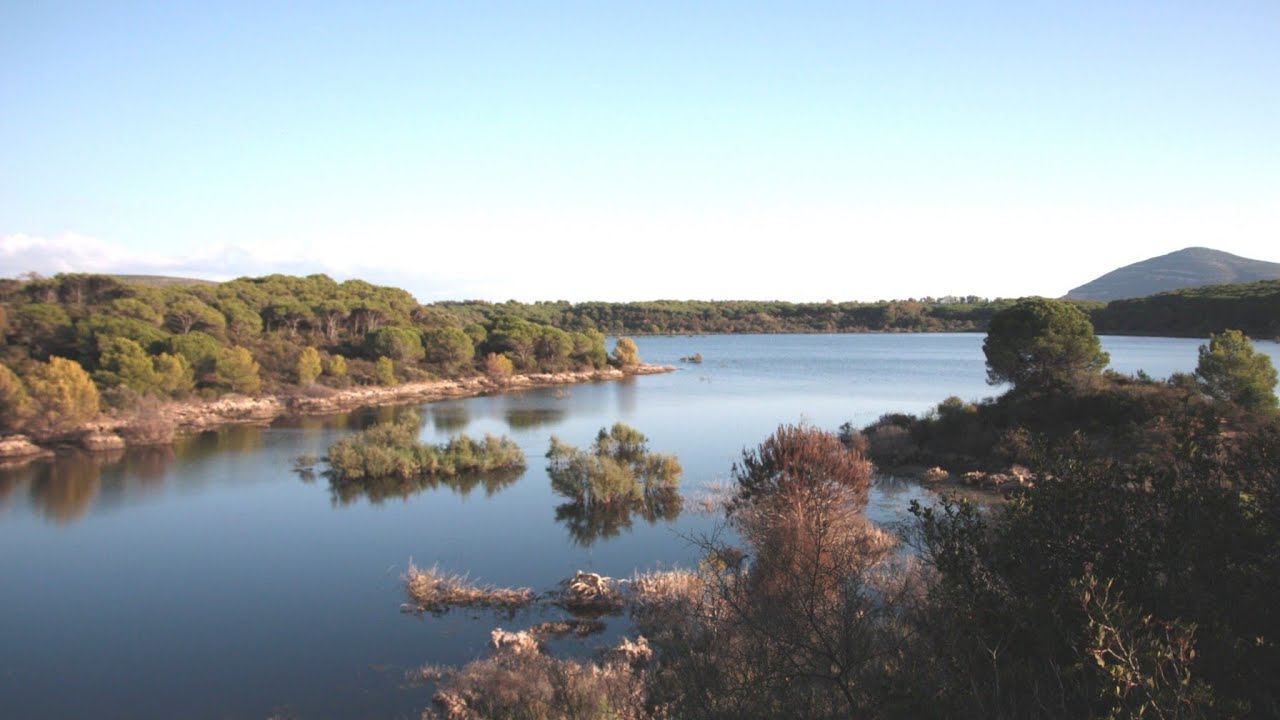 Lago di Baratz. Unico lago naturale in Sardegna su Videolina #alghero