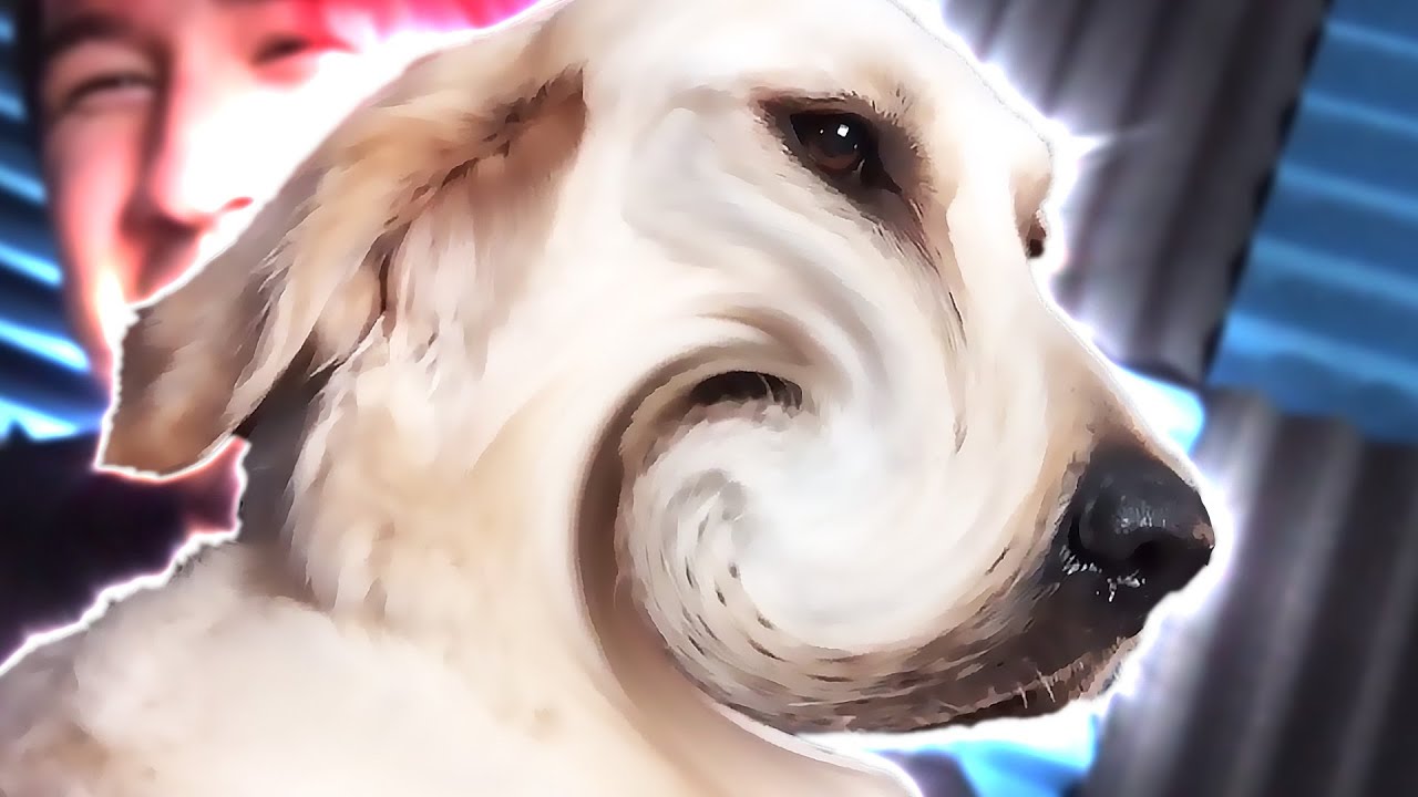 Markiplier's Photobooth Fun w/ CHICA!