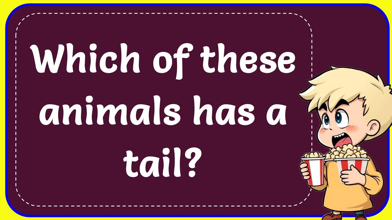 Which Of These Animals Has a Tail? Correct
