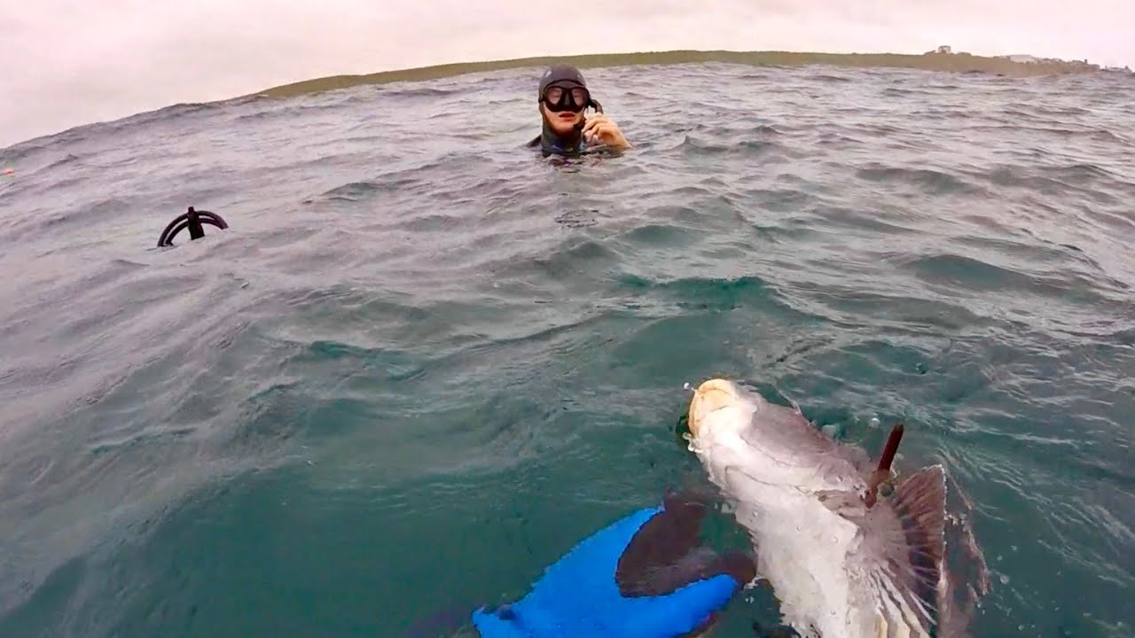 Evading the taxman while Spearfishing Cape St Francis