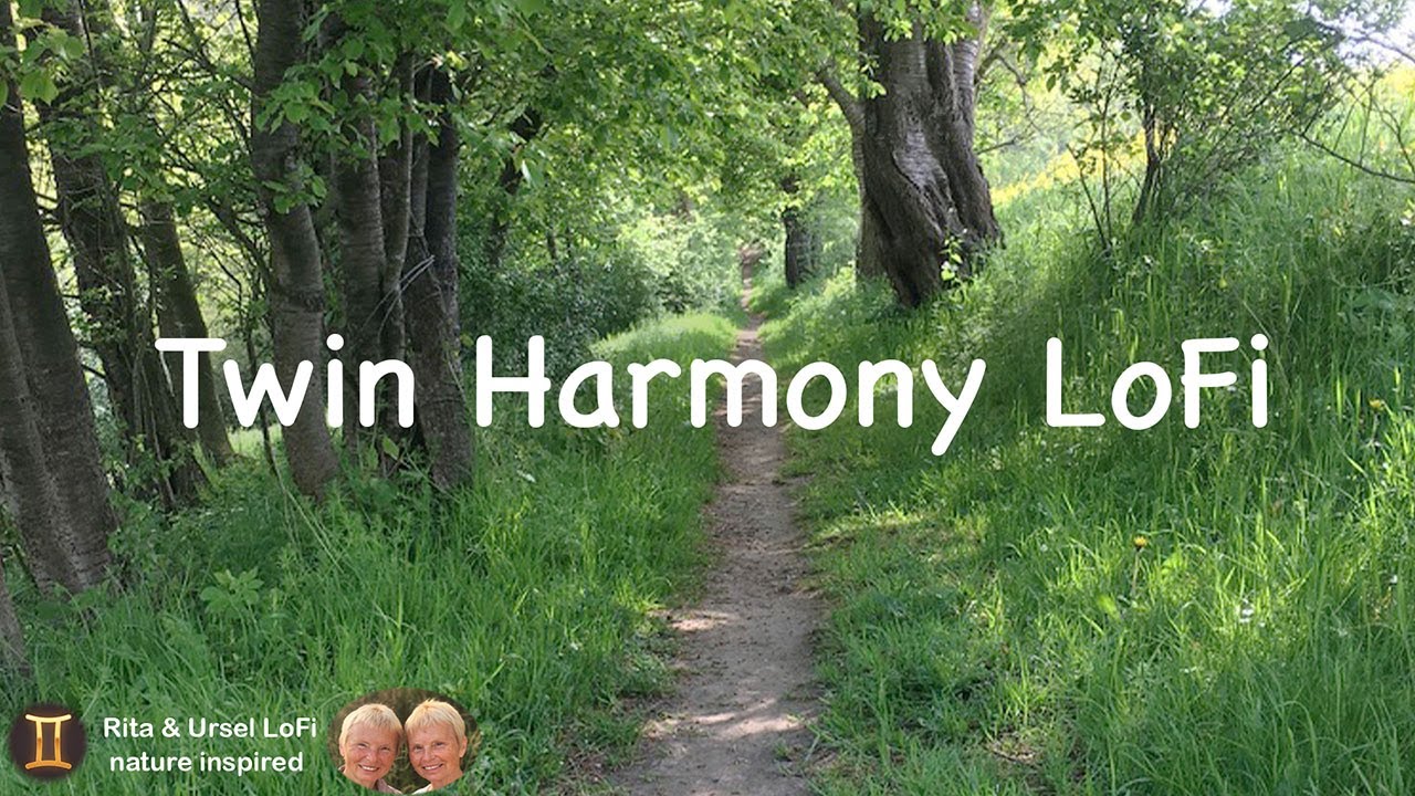 Twin Harmony LoFi – forest Path für Ruhe & Fokus