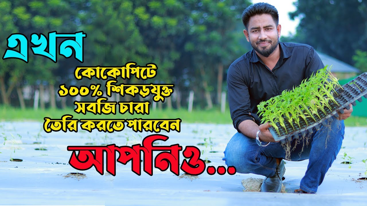 এখন কোকোপিটের মাধ্যমে ১০০% শিকড়যুক্ত সবজি চারা উৎপাদন করতে পারবেন আপনিও - Agro One