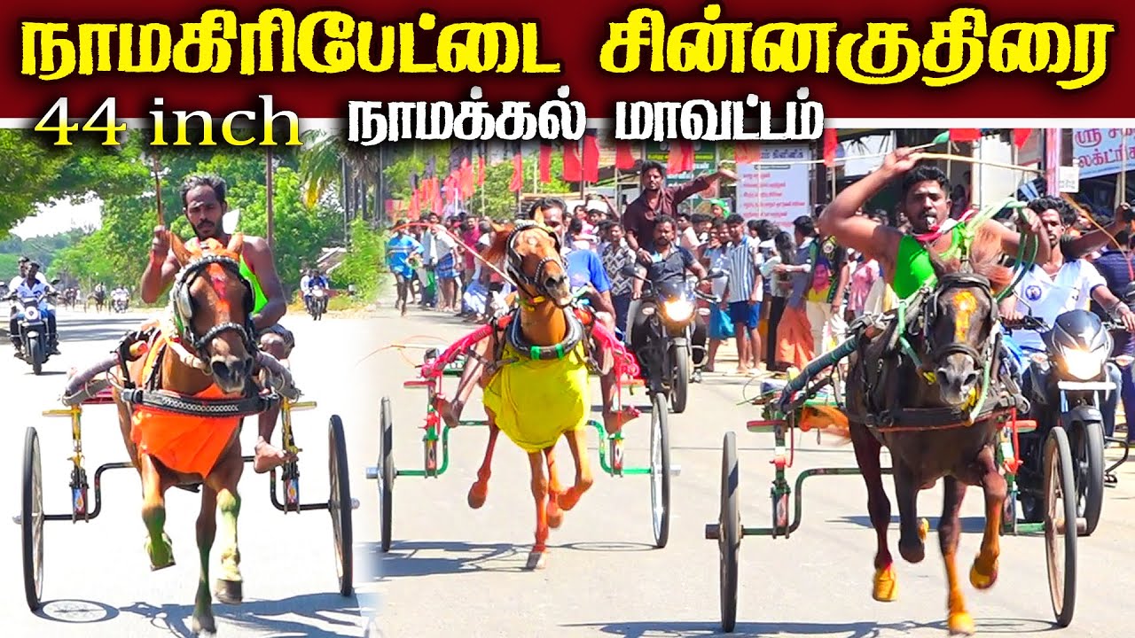 நாமகிரிப்பேட்டை 44_inch சின்னகுதிரை _ 15.01.2026