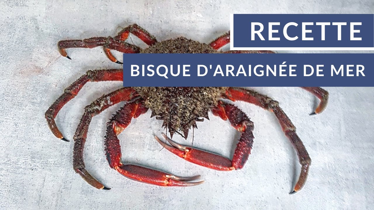 Recette de bisque d'araignée de mer
