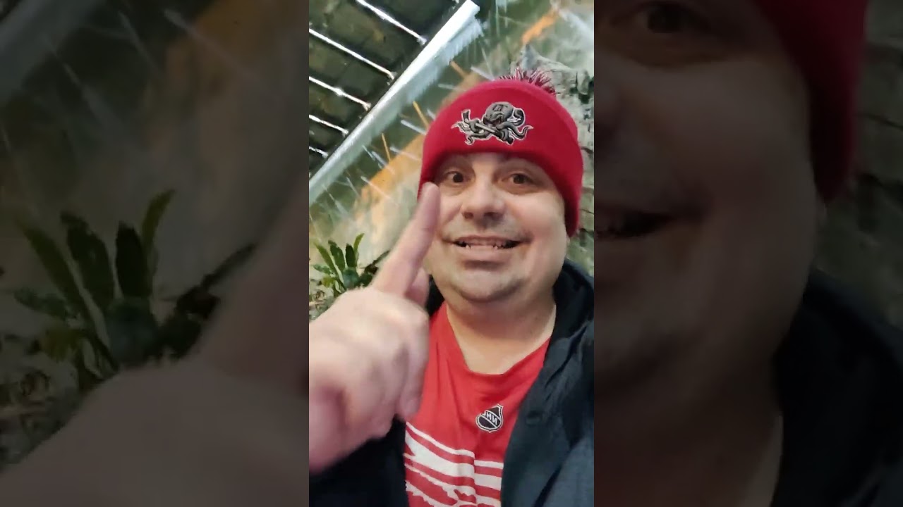 Montreal Trip. Visit to the Biodome