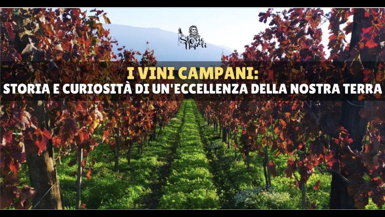 Storia dei vini e dei vitigni campani-Storie di Napoli