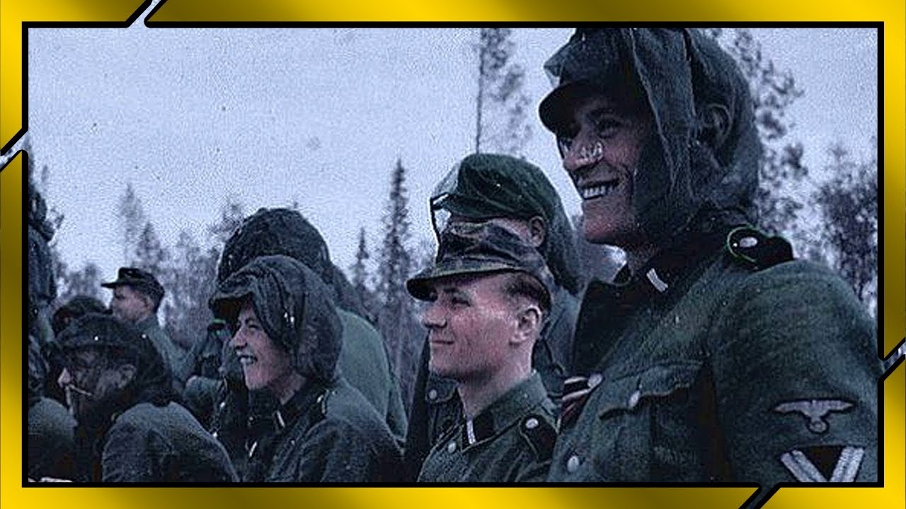 SS Division 