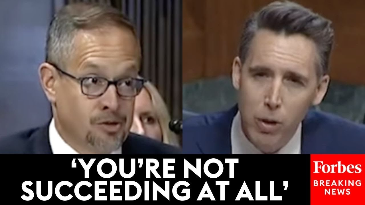 ‘The Answer You’re Looking For Is No’: Josh Hawley Rejects Witness’s Claim Of Lowering Drug Costs