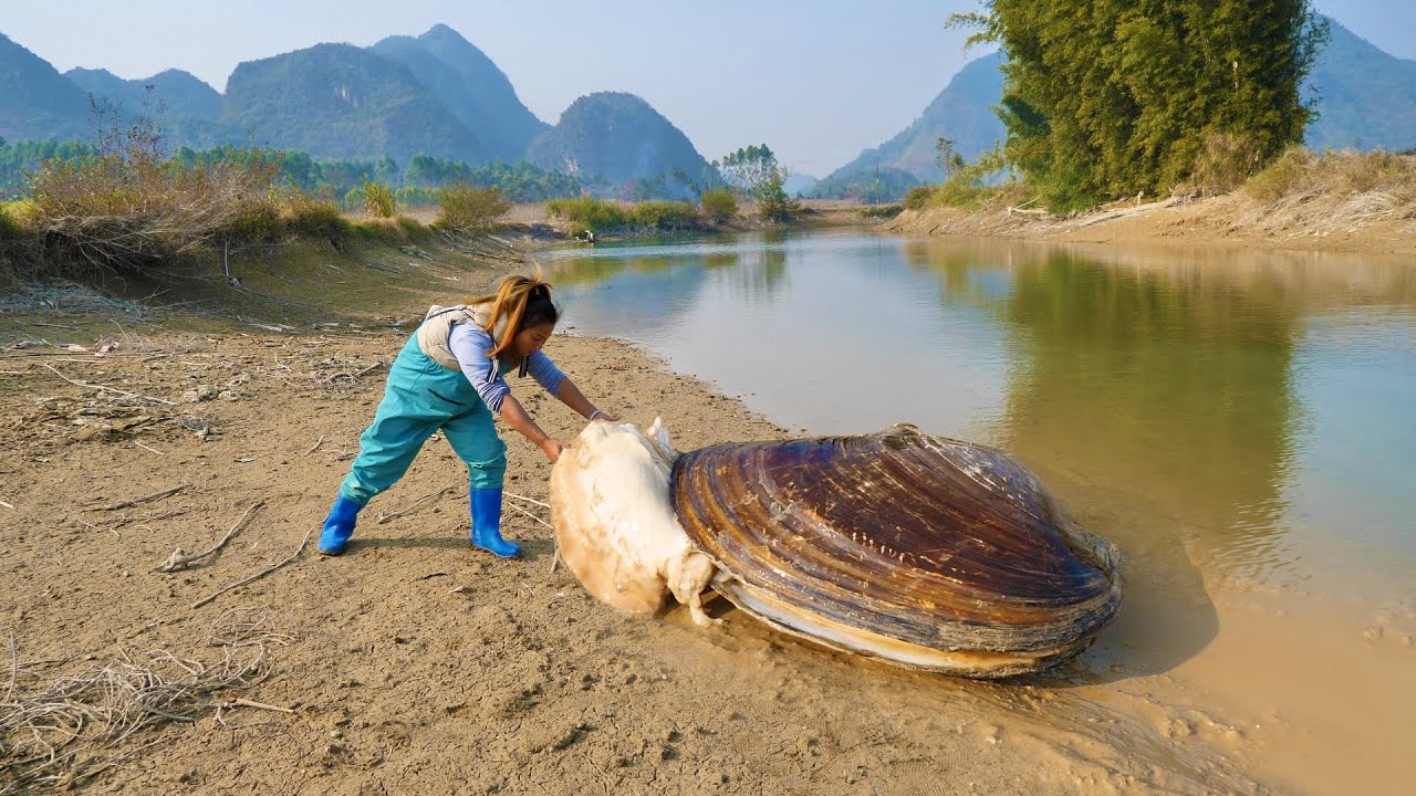 I dragged large freshwater clams ashore and obtained countless exquisite pearls