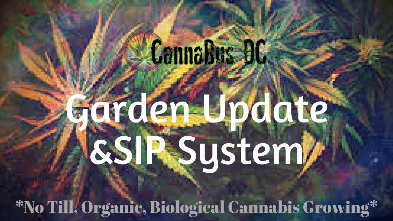 Garden Walkthrough & SIP System
