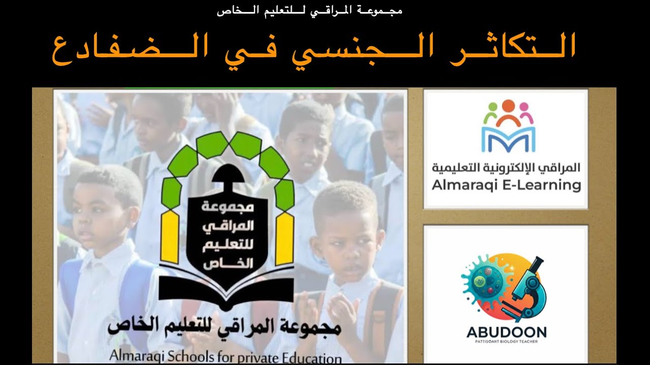 التكاثر الجنسي في الضفادع ج3 | الأحياء | حصص الشهادة السودانية