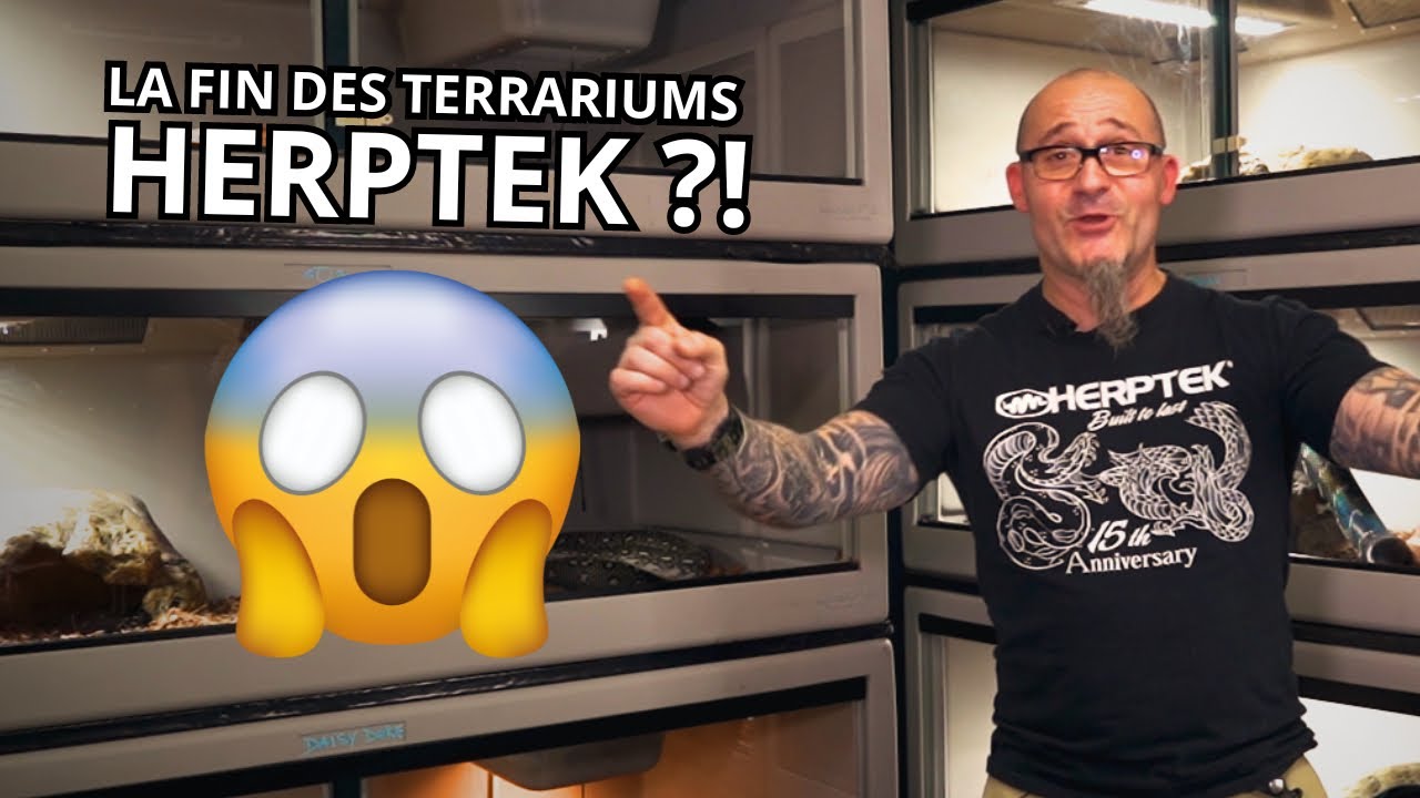 LA FIN DES TERRARIUMS HERPTEK ??!!! 😱