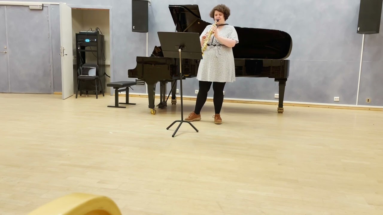 Birds Do Come Back - Sara Van de Wijer