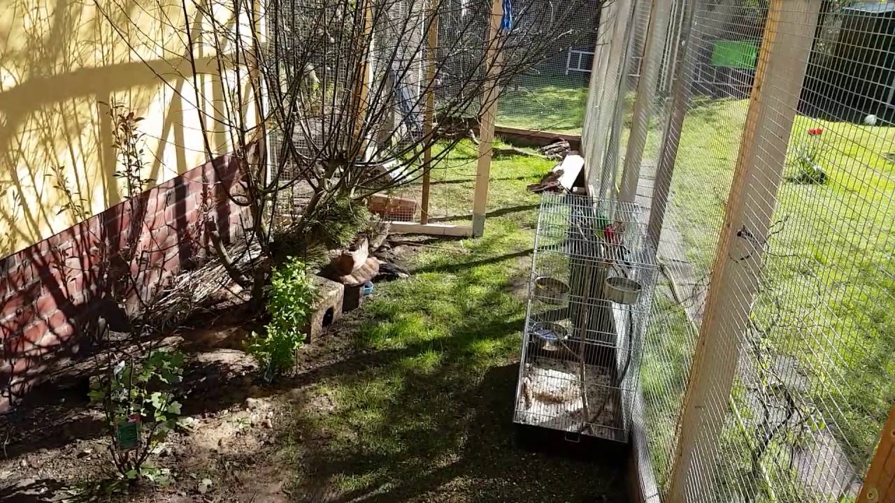 Unser Papageiengarten, große Außenvoliere mit Teilüberdachung und natürlichem Bewuchs