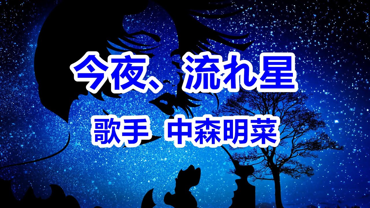 今夜、流れ星～唄 中森明菜 (日本レコード大賞受賞者)
