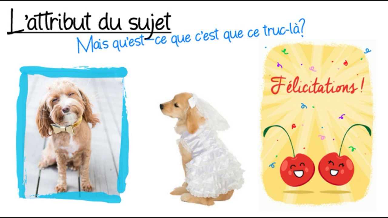 Attribut du sujet   GRAMMAIRE 5e