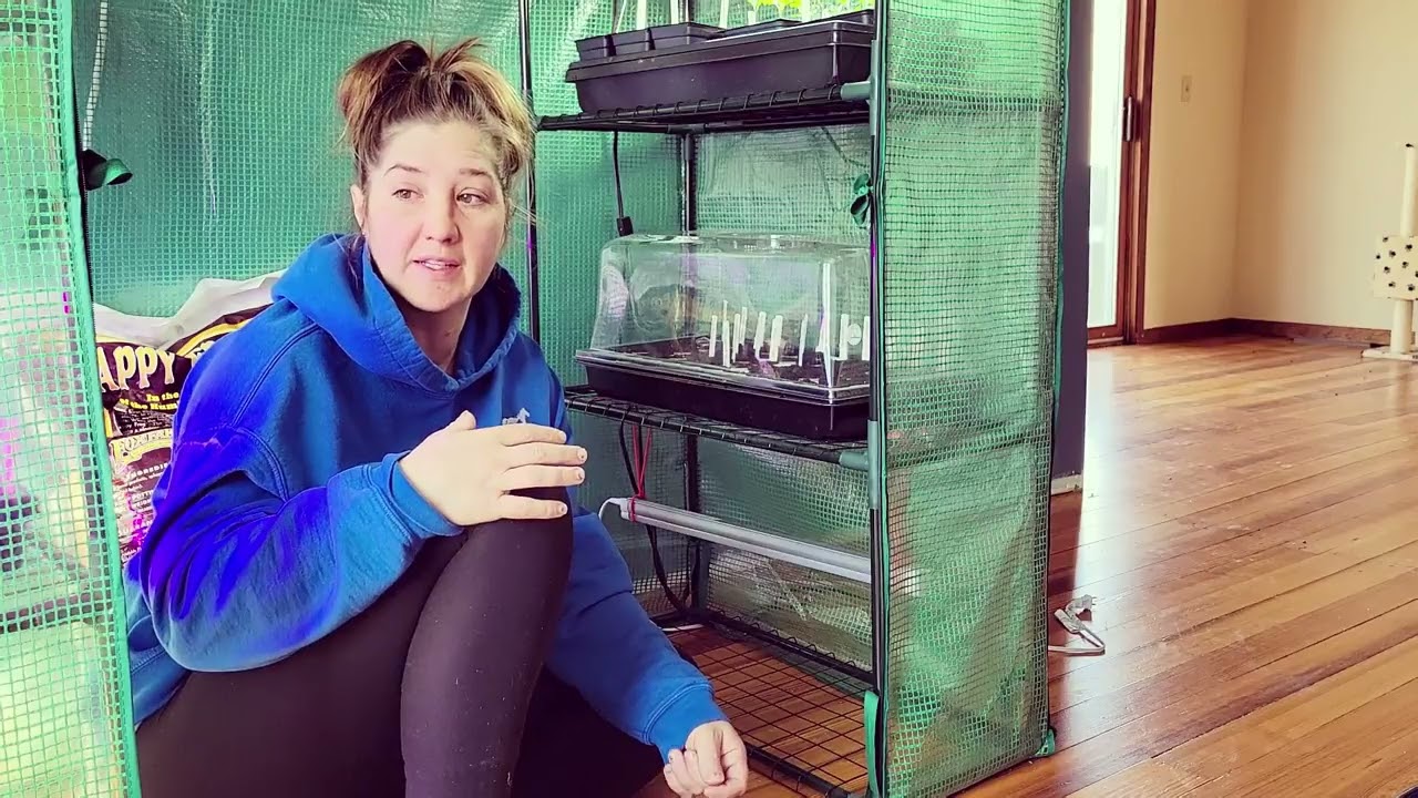 Planting Tomatoes and Peppers in Rapid Rooter Grow Plugs