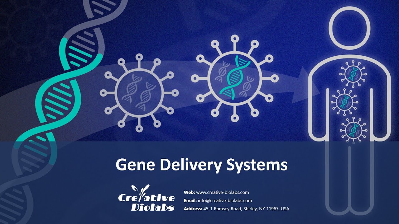 Gene Delivery Systems for Gene Therapy - Creative Biolabs