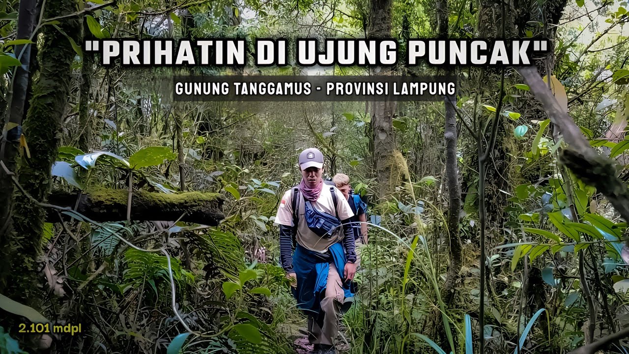 GUNUNG TANGGAMUS - sesulit ini kah gunung tanggamus? dibuat prihatin & geram melihat kondisi puncak