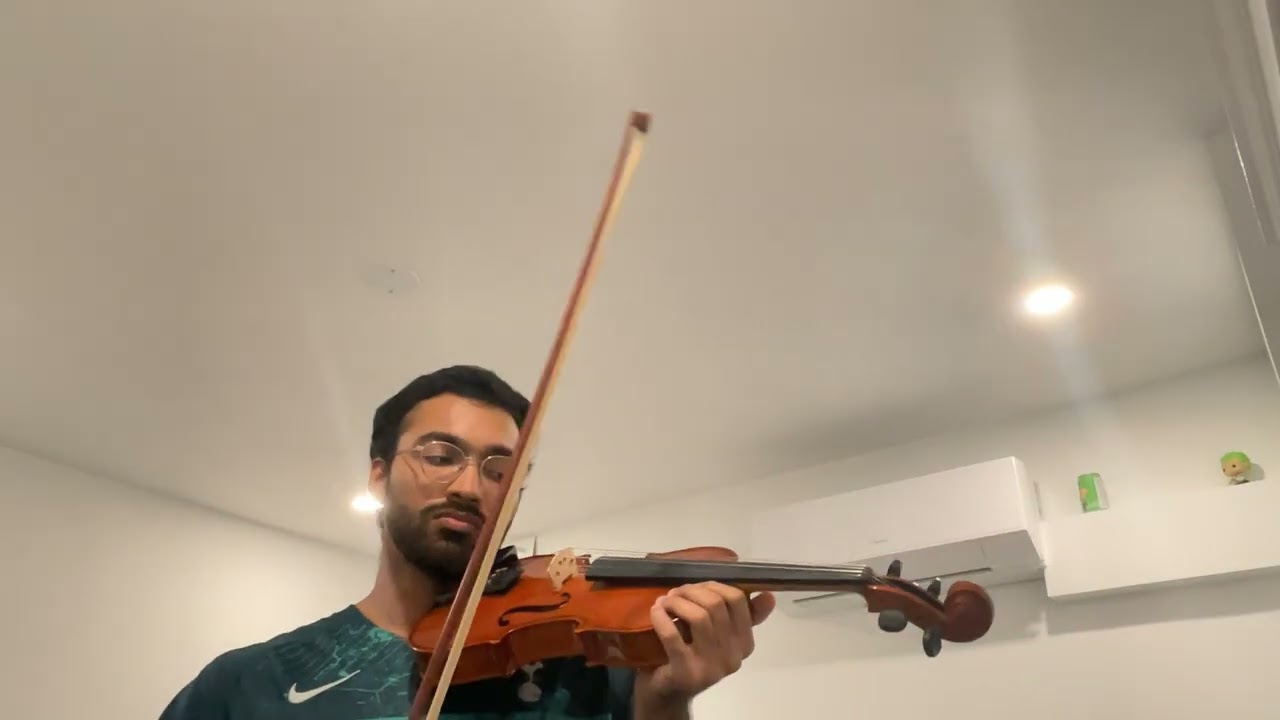 Adult Beginner Violin practice | Day 2