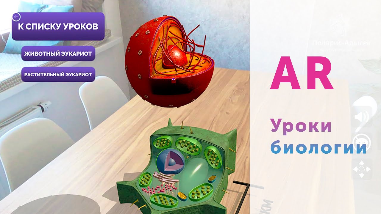 Биология в дополненной реальности || Biology AR