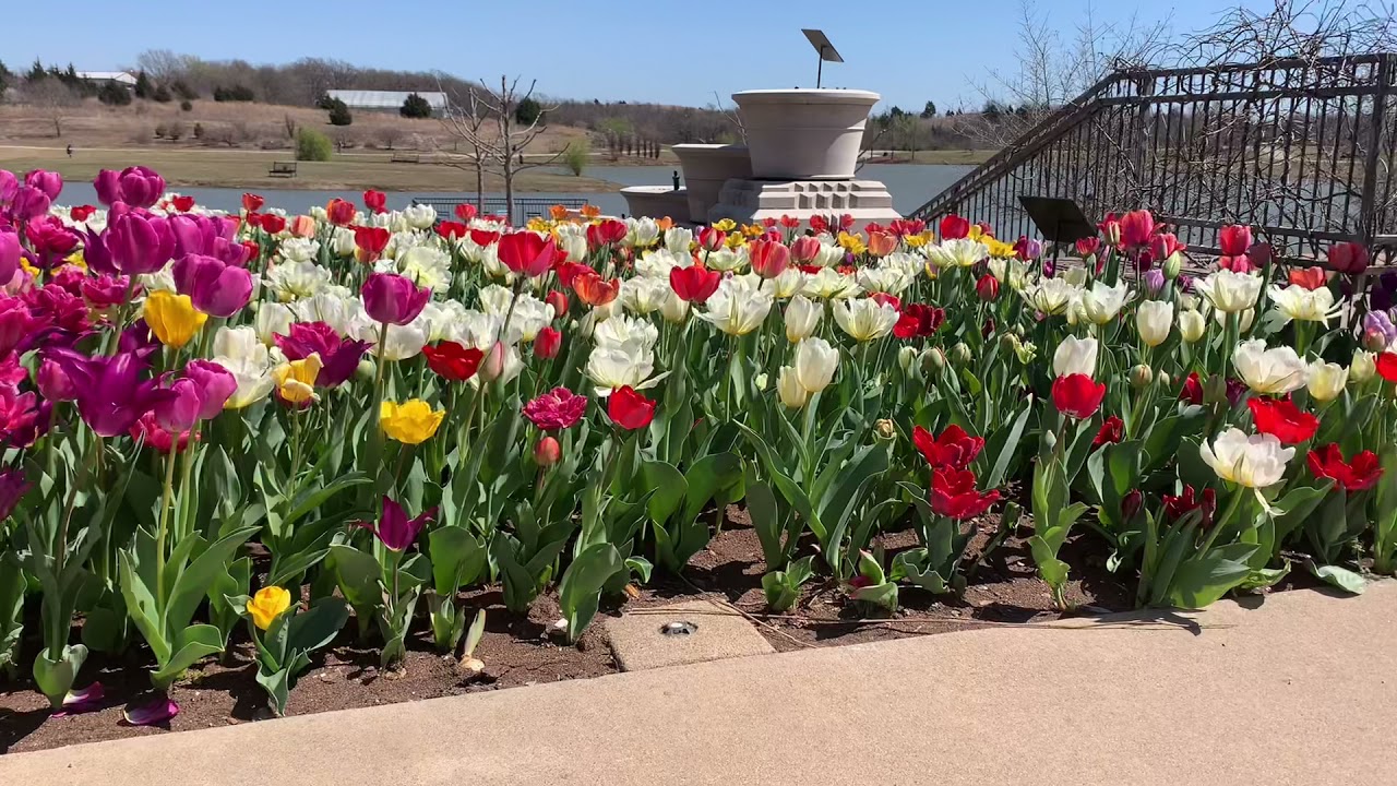 Yoga with Bella / Spring Season Yoga #Springyoga #yogainthegarden