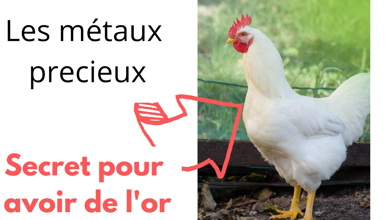 SECRET DU SAINT CORAN POUR AVOIR DE L'OR. Les orpailleurs &eacute;coutent donc.