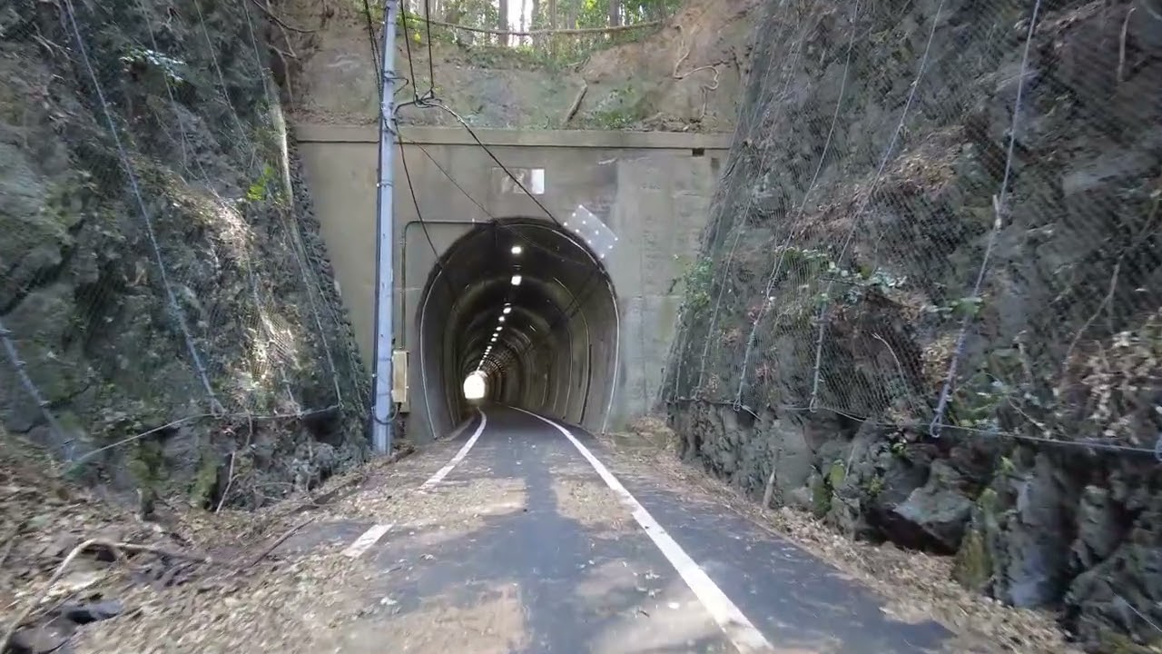 プチ逆打ち遍路　手結のトンネルはきれいだった　#shorts #隧道#トンネル