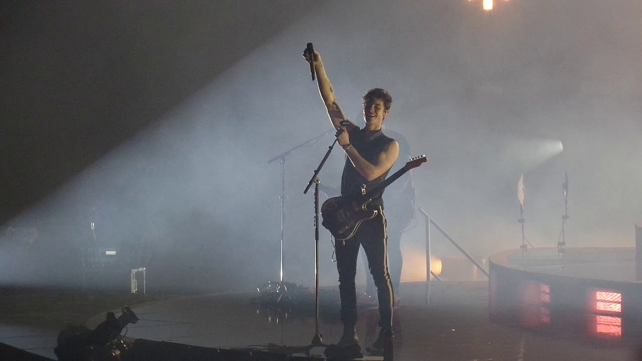 Shawn Mendes - In my blood (Live @ Sportpaleis, Antwerp 10 march 2019)