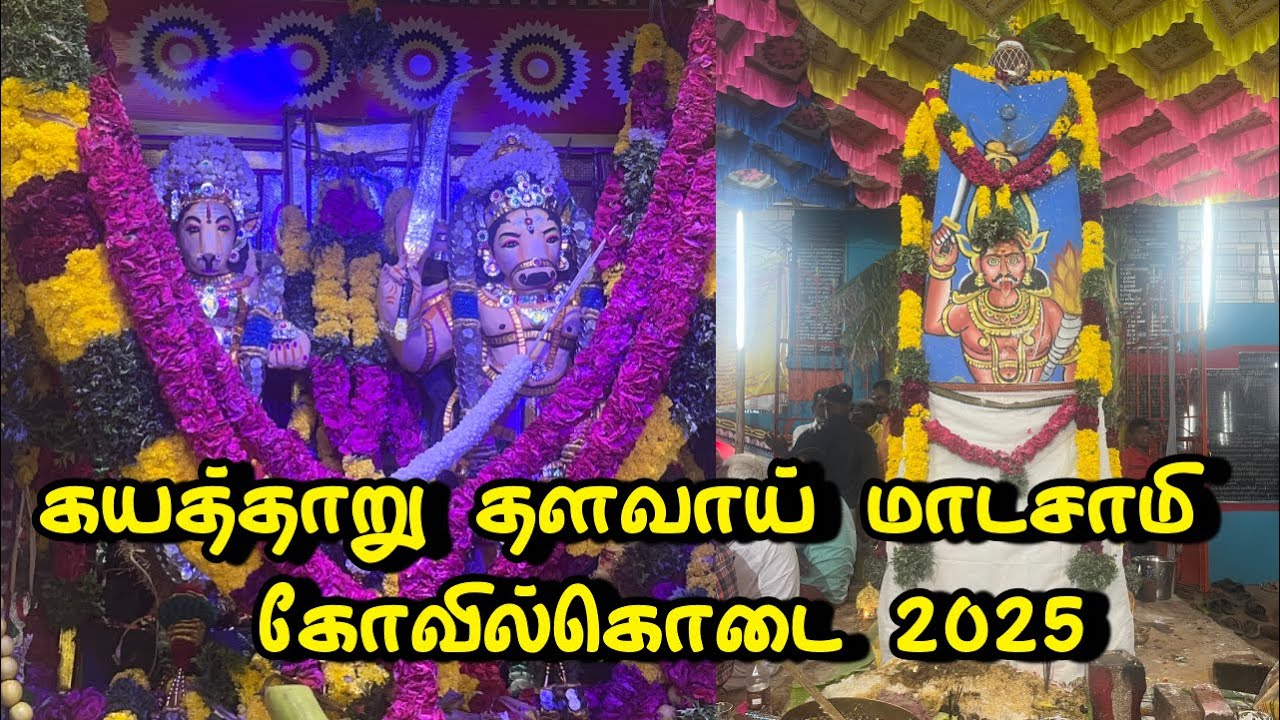 கயத்தாறு தளவாய் மாடசாமி ஆடிமாத கோவில்கொடை திருவிழா #sudalaimaadan #kovilkodai #kayathar #sudalai