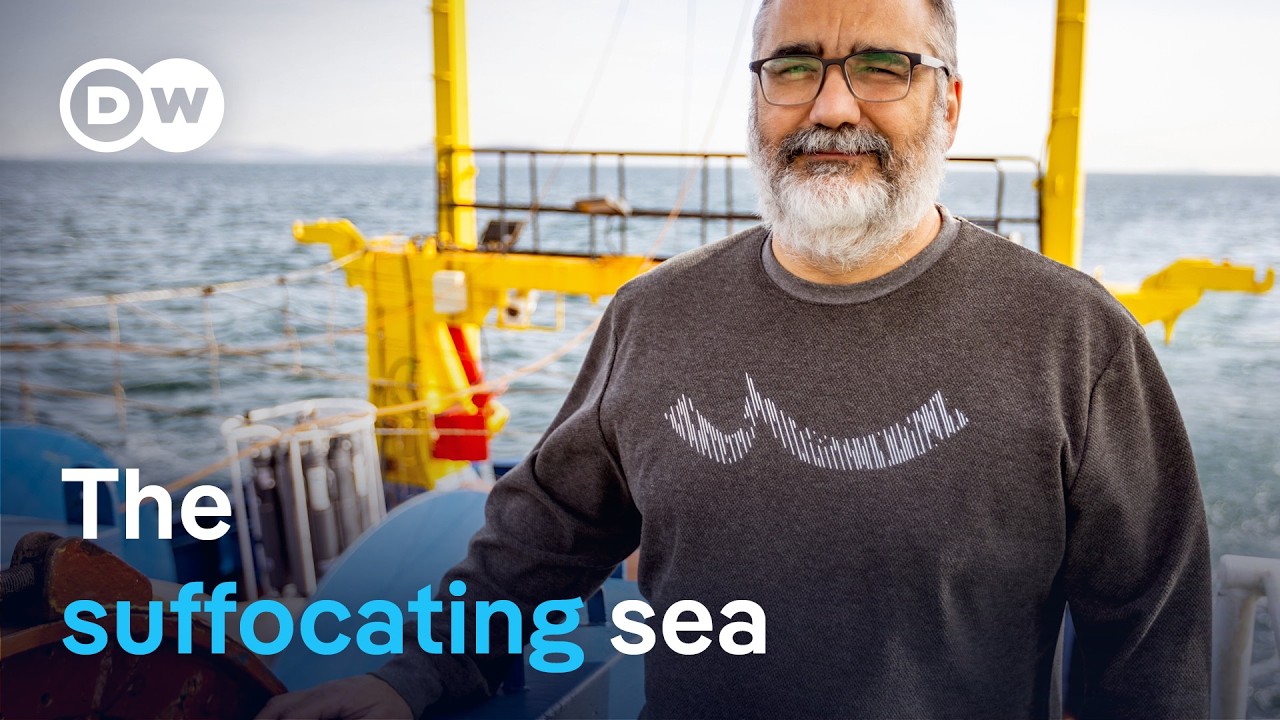 Turkey: Can the Marmara sea be saved? | DW Documentary
