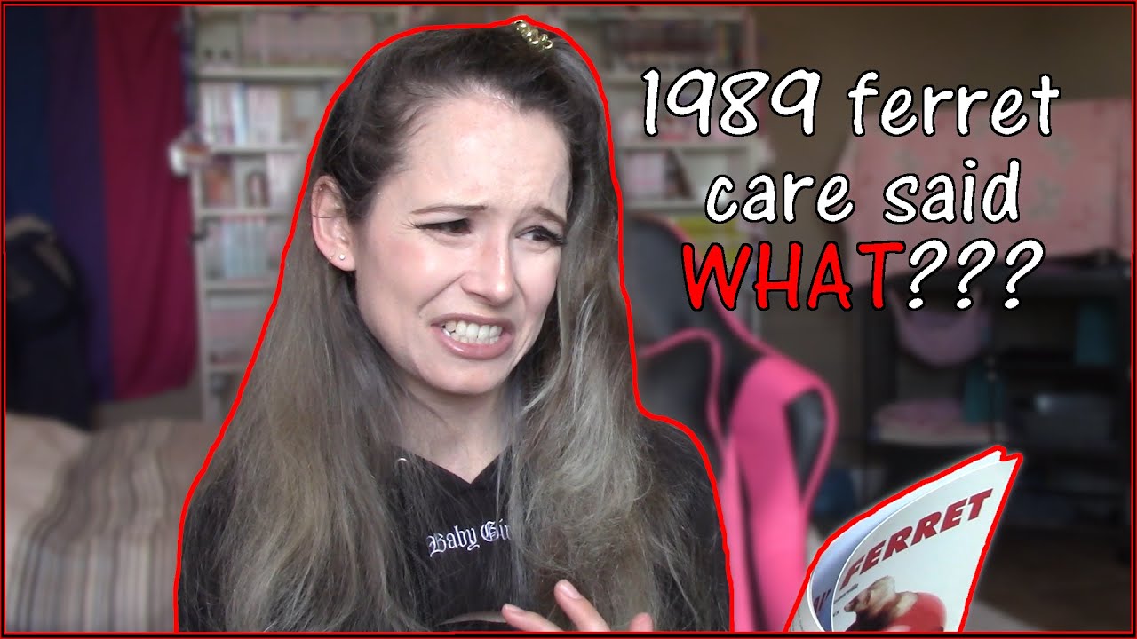 Ferret Youtuber Reacts to Thrift Store Ferret Care Books