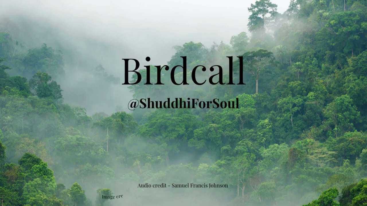 Birdcall