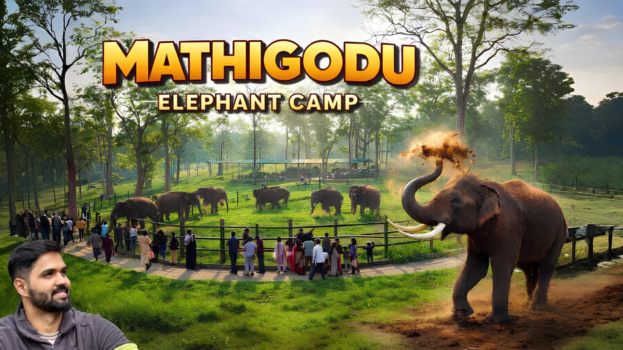 Mathigodu Elephant Camp Full Vlog 🐘 | Rohit, Srikanta, Abhimanyu & Famous Dasara Elephants