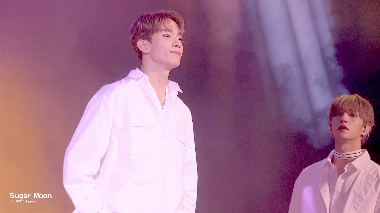 190629 성남파크콘서트 세븐틴 "우리의 새벽은 낮보다 뜨겁다" 도겸 focus