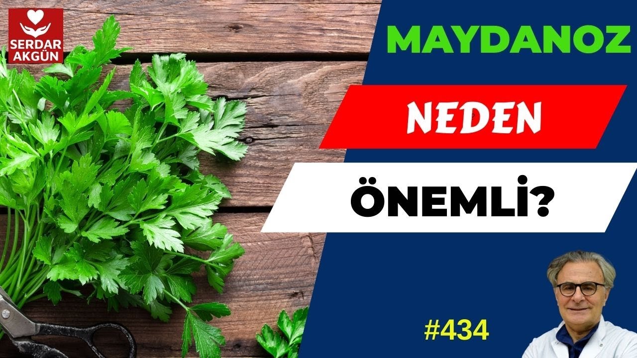 434. Maydanozun Faydaları, Maydanozun Zararları, Uyarılar, Sağlık Videoları, Serdar Akgün