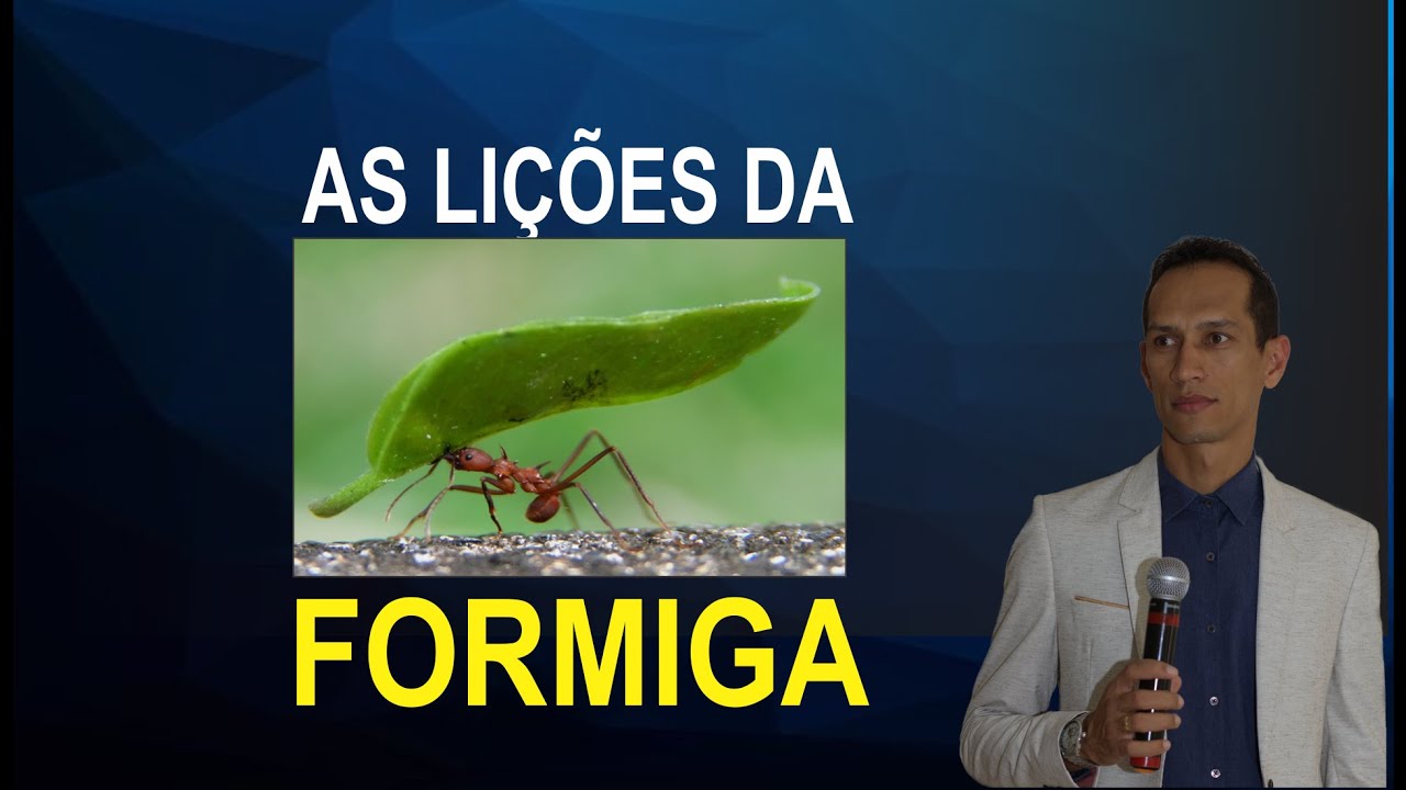 AS LIÇÕES DA FORMIGA