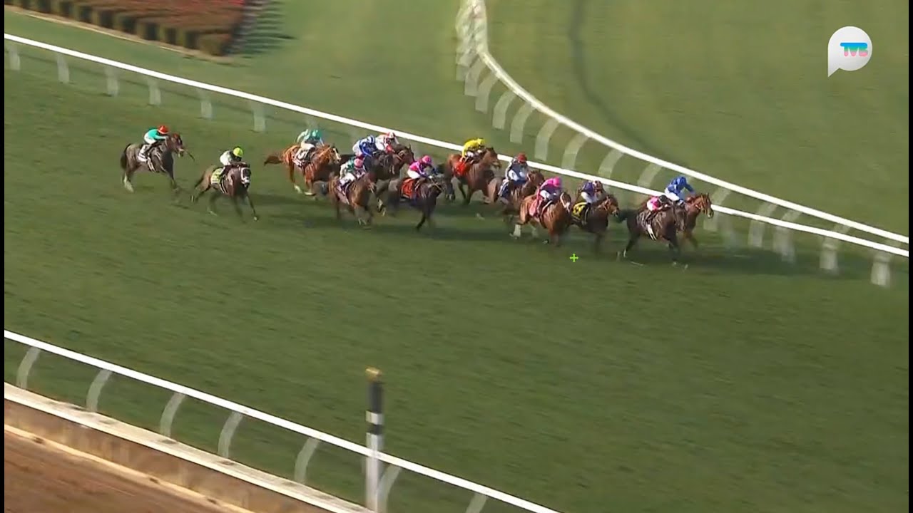 美國育馬者盃一哩大賽 Breeders' Cup Mile 一級賽 G1 1600m 2025-11-02 名演說 Notable Speech 德爾馬馬場 Del Mar Racecourse