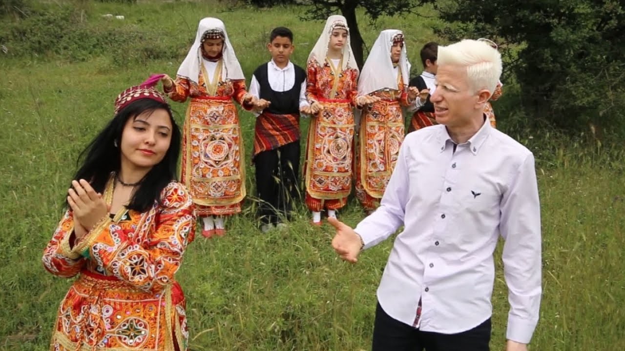 Zafer Çakmak - Çam Perde