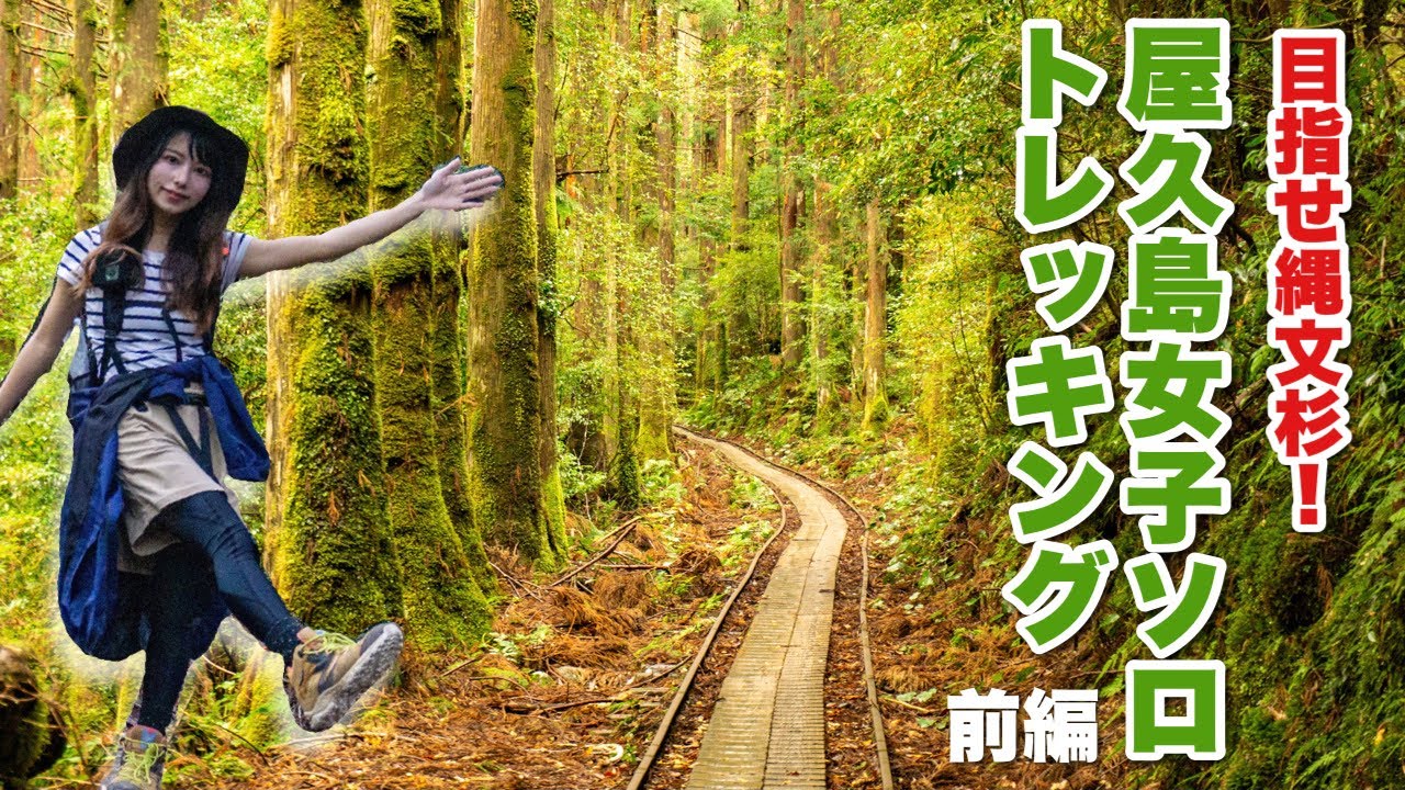 縄文杉目指して屋久島10時間トレッキング！前編「神秘の森のトロッコ道を歩く」